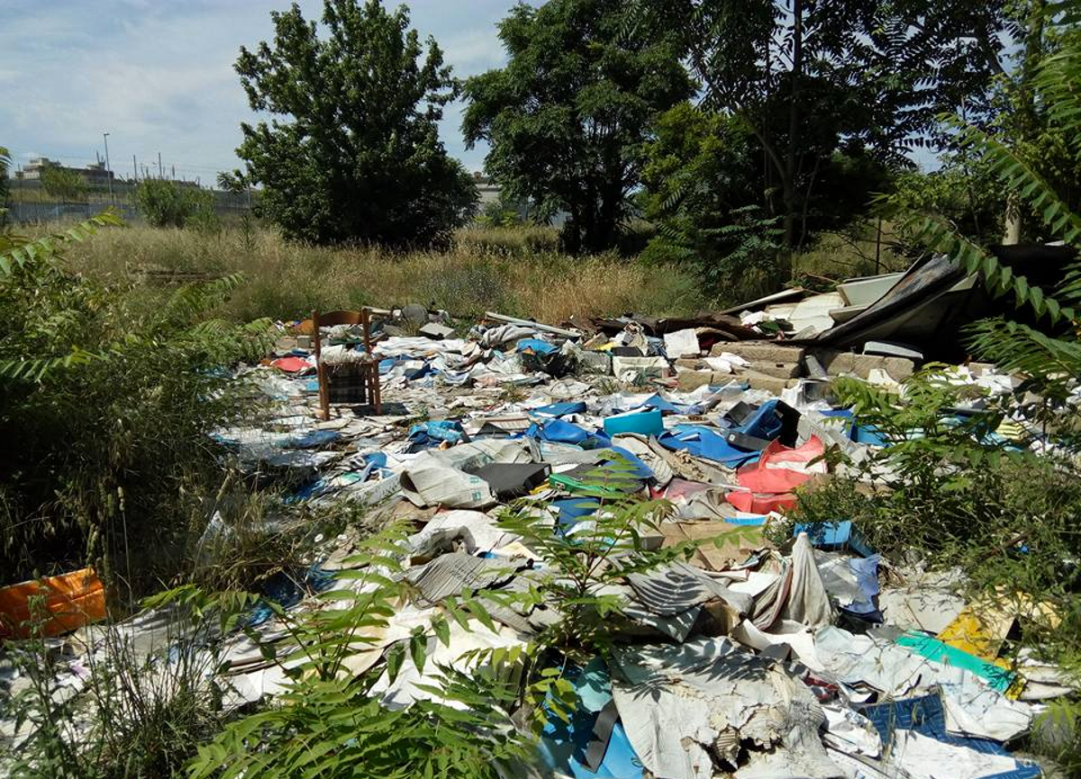 Galleria foto 'Roma, scheletro in un parco. I cittadini: “Cadaveri come sacchi di spazzatura”' - foto 1