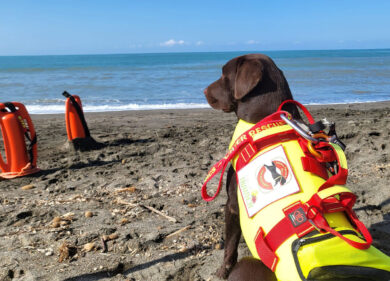 Cani bagnini Sics, già operativi su tutta la costa del Lazio tranne a Ostia