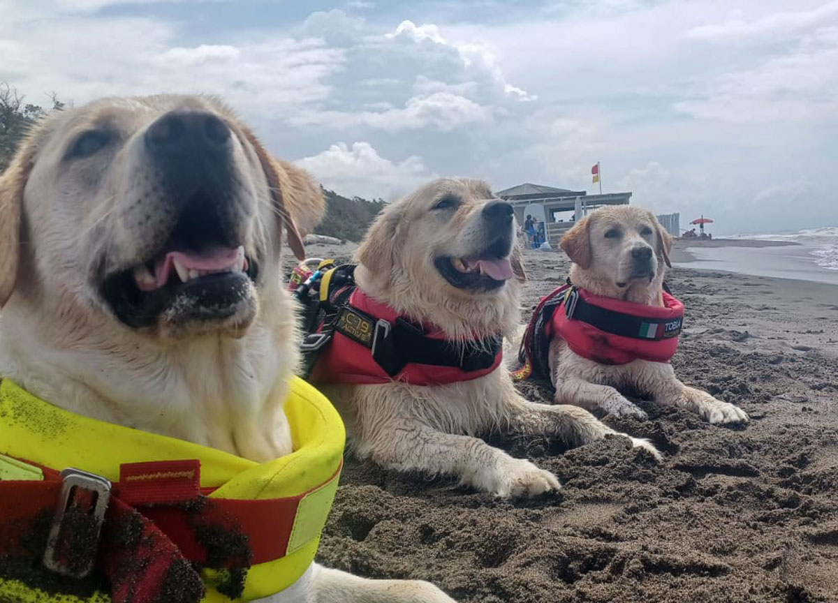 Cani bagnini Sics, già operativi su tutta la costa del Lazio tranne a Ostia