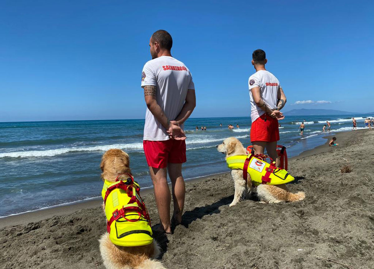Cani bagnini Sics, già operativi su tutta la costa del Lazio tranne a Ostia