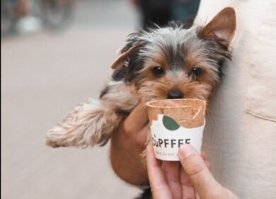 Cupffee, la tazzina “bevi e mangia” per combattere l’inquinamento