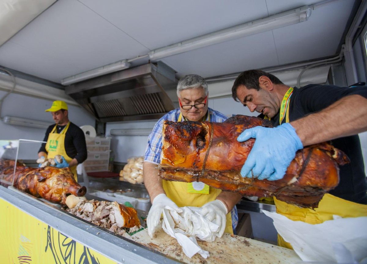 Coldiretti invita e poi caccia un professore a favore della carne sintetica Coldiretti invita e poi caccia un professore a favore della carne sintetica