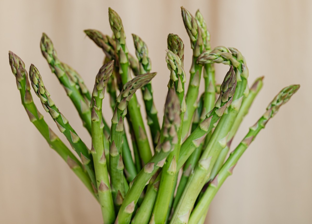 Quali sono le principali proprietà degli asparagi? Quali sono le principali proprietà degli asparagi?