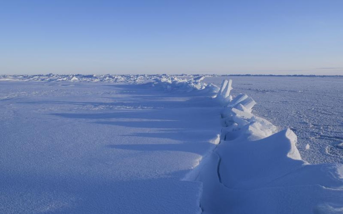 Terremoto di magnitudo 7,4 in Alaska, scatta l’allarme tsunami Terremoto di magnitudo 7,4 in Alaska, scatta l’allarme tsunami