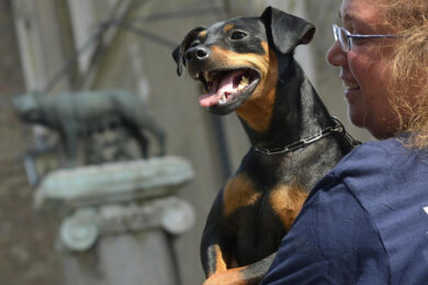 “Cibo per cani scadente”: allarme dissenteria nei canili gestiti dal Comune