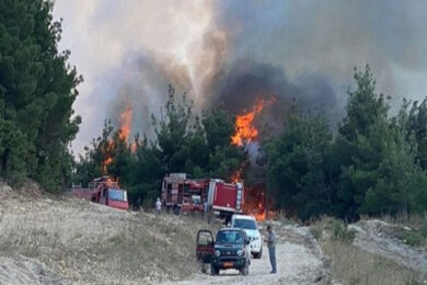 Grecia, maxi incendio vicino alle spiagge di Corinto: evacuati 1200 bambini