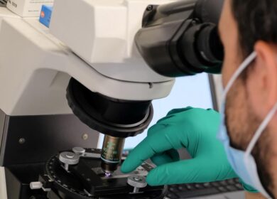 Una vernice super-bianca che raffredda la Terra. Ecco l’incredibile scoperta