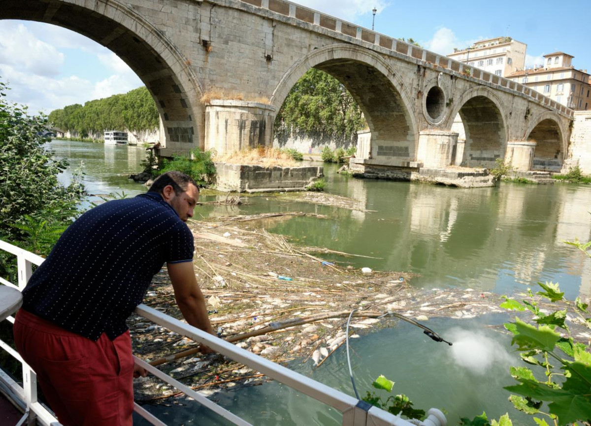 Topi in cucina e zero autorizzazioni: affondati tre  barconi del Tevere a Roma
