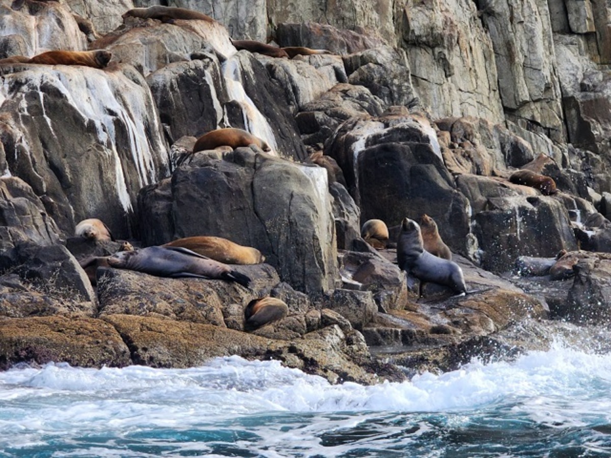 Tasmania, l’isola remota che sembra uscita da un romanzo