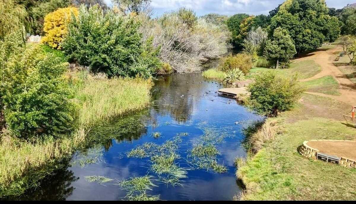 Tasmania, l’isola remota che sembra uscita da un romanzo