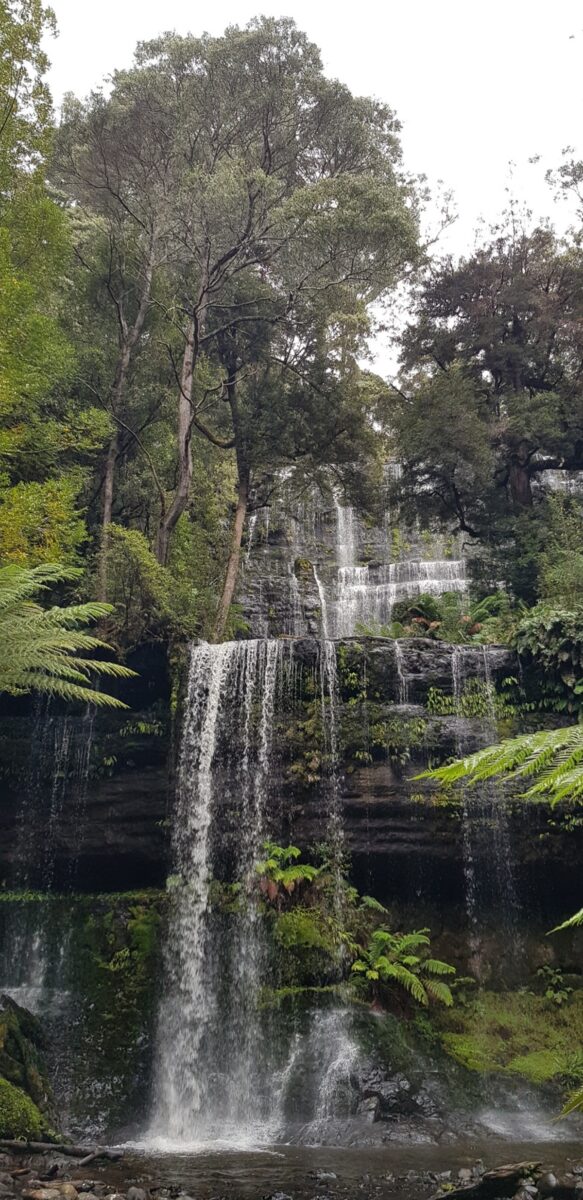 Tasmania, l’isola remota che sembra uscita da un romanzo