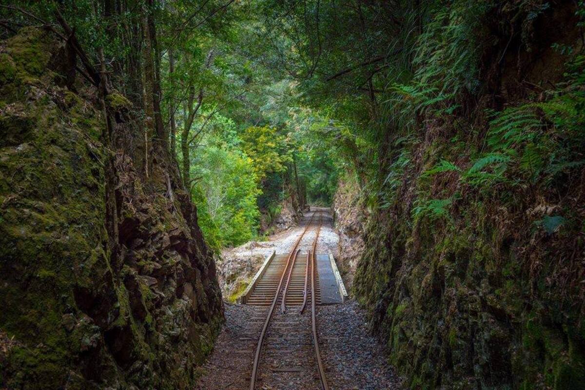 Tasmania, l’isola remota che sembra uscita da un romanzo
