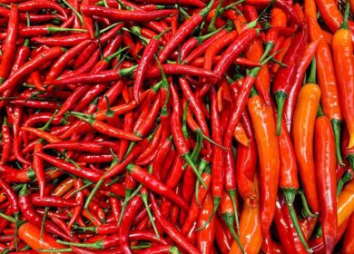La festa più piccante dell’anno arriva a Fiumicino: il peperoncino fa show