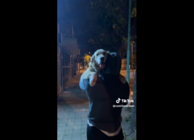 Passeggia col cane e incontra l’ex fidanzato, reazione choc del cucciolo