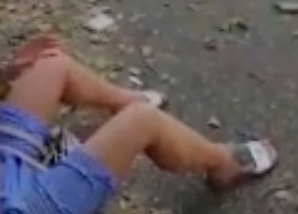 Roma, crolla un albero sul lungotevere: ferite due donne, distrutte 10  auto