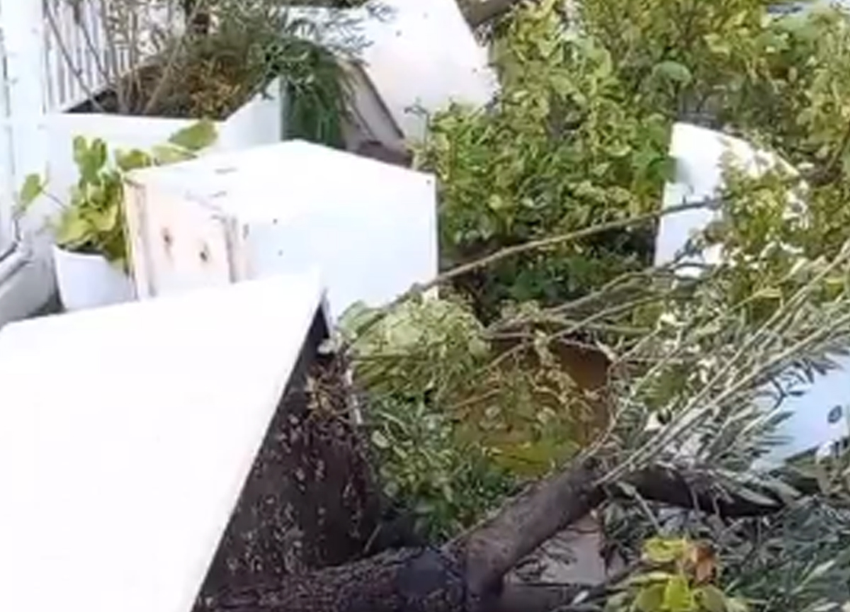 Il maltempo colpisce anche Michelle Hunziker, terrazzo devastato. VIDEO