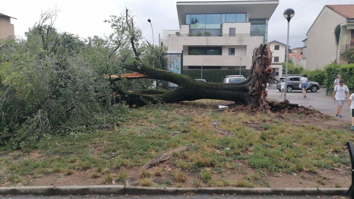 Maltempo e incendi, ok dal cdm alla cassa integrazione per il clima estremo