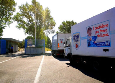 Roma, Gualtieri diventa produttore di latte. La mano statalista sulla Centrale