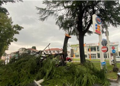 Nubifragio, ancora alberi e rami. A Milano continua il ripristino