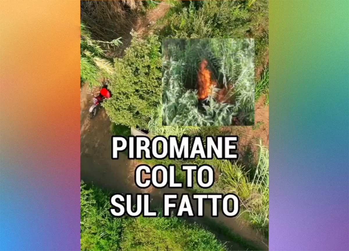 L’Italia brucia: “La differenza tra piromani e criminali per motivi economici” L’Italia brucia: “La differenza tra piromani e criminali per motivi economici”