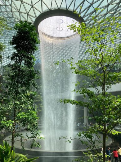 Unicusano, lanciato primo master al mondo in Biophilic Design