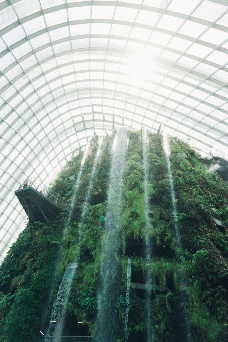 Unicusano, lanciato primo master al mondo in Biophilic Design Unicusano, lanciato primo master al mondo in Biophilic Design
