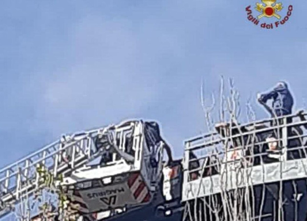 Roma, turisti bloccati sulle montagne russe di Zoomarine. Ecco perchè