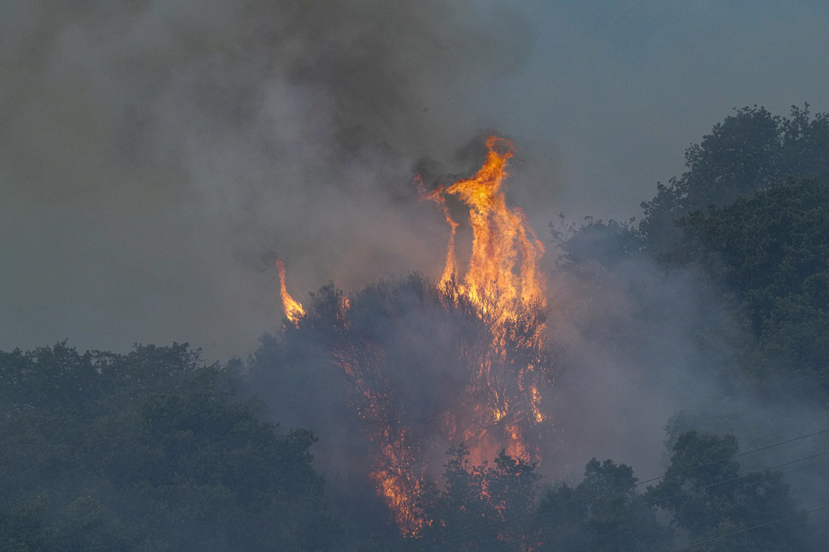 Brucia la Sardegna, Posada e Siniscola a fuoco. Allarme anche al Sud Brucia la Sardegna, Posada e Siniscola a fuoco. Allarme anche al Sud