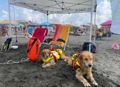 Mare da cani: a Ladispoli i cani bagnino della Sics salvano due bagnanti