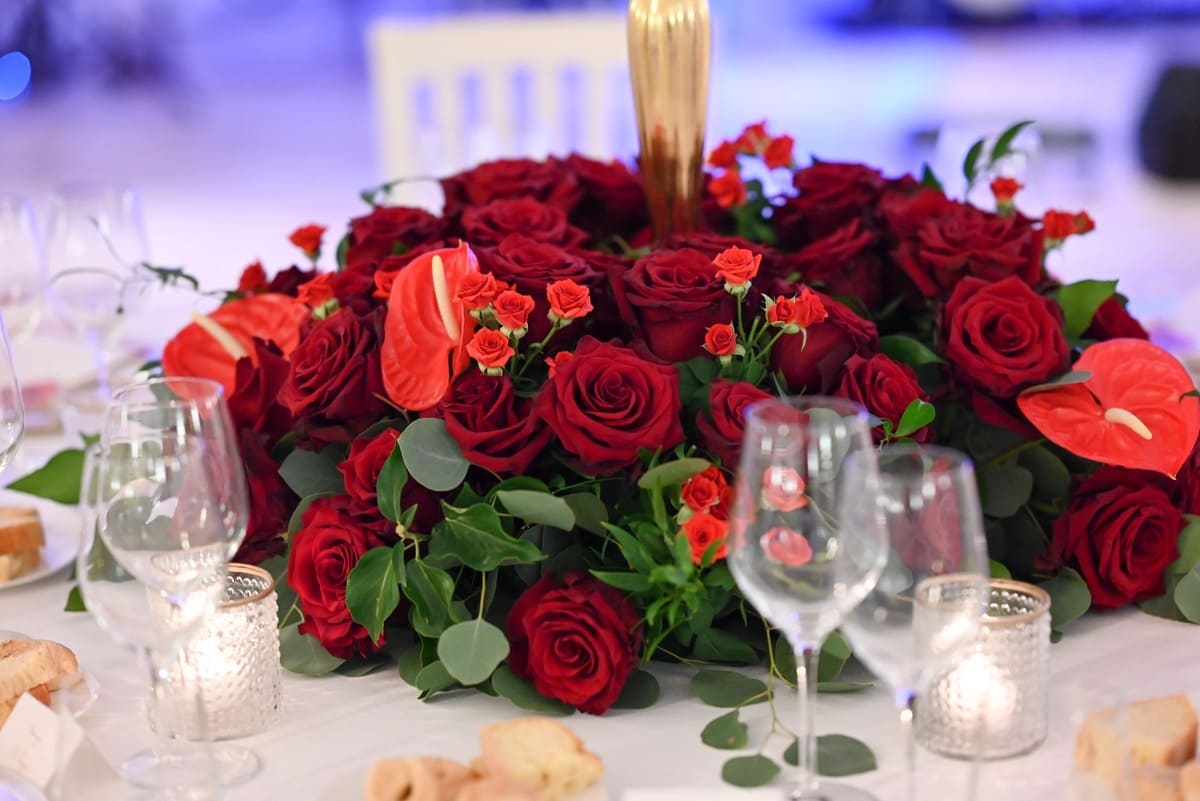 Monica Setta compie gli anni: la festa in masseria a Monopoli in Puglia- FOTO