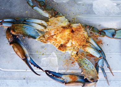 Granchio blu, da alieno a prelibatezza. Metterlo in tavola salverebbe il Po