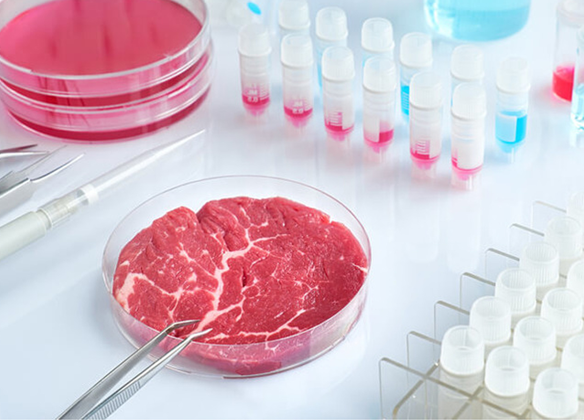 Carne sintetica, in Inghilterra la prima banca cellulare libera da licenze Carne sintetica, in Inghilterra la prima banca cellulare libera da licenze