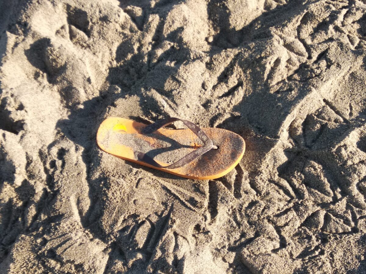 Galleria foto 'SummerTour RadioDeejay, tra cicche di sigarette accese in pineta e spazzatura' - foto 24