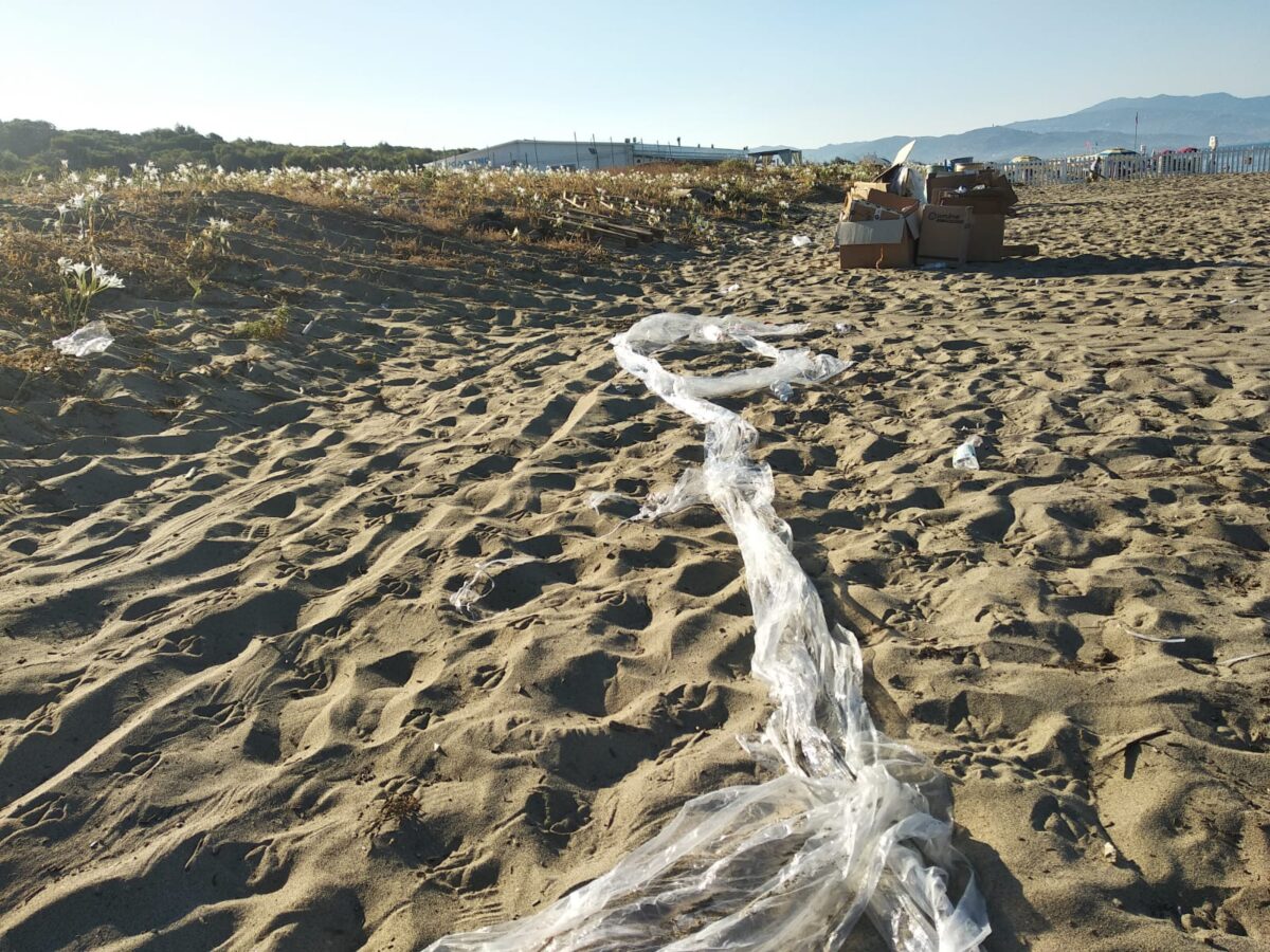 SummerTour RadioDeejay, tra cicche di sigarette accese in pineta e spazzatura