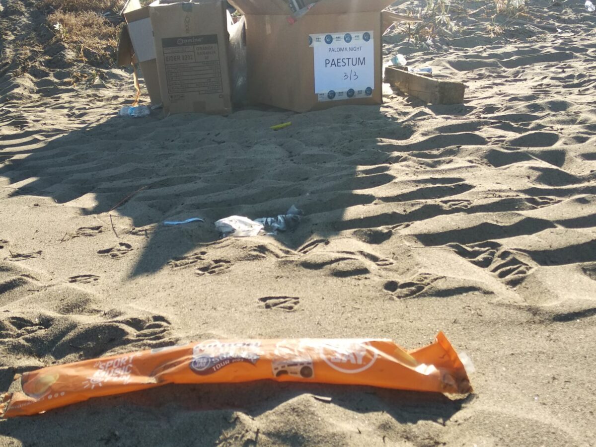 Galleria foto 'SummerTour RadioDeejay, tra cicche di sigarette accese in pineta e spazzatura' - foto 27