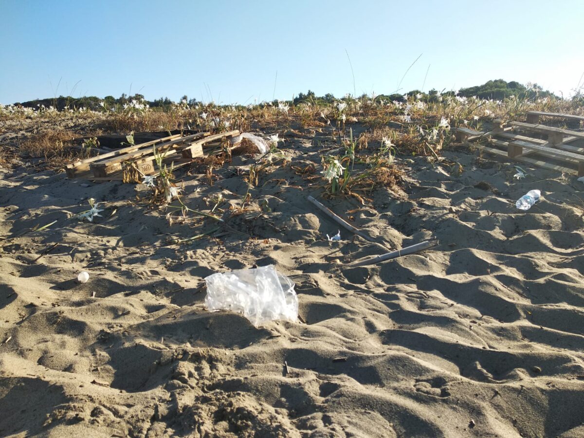 SummerTour RadioDeejay, tra cicche di sigarette accese in pineta e spazzatura