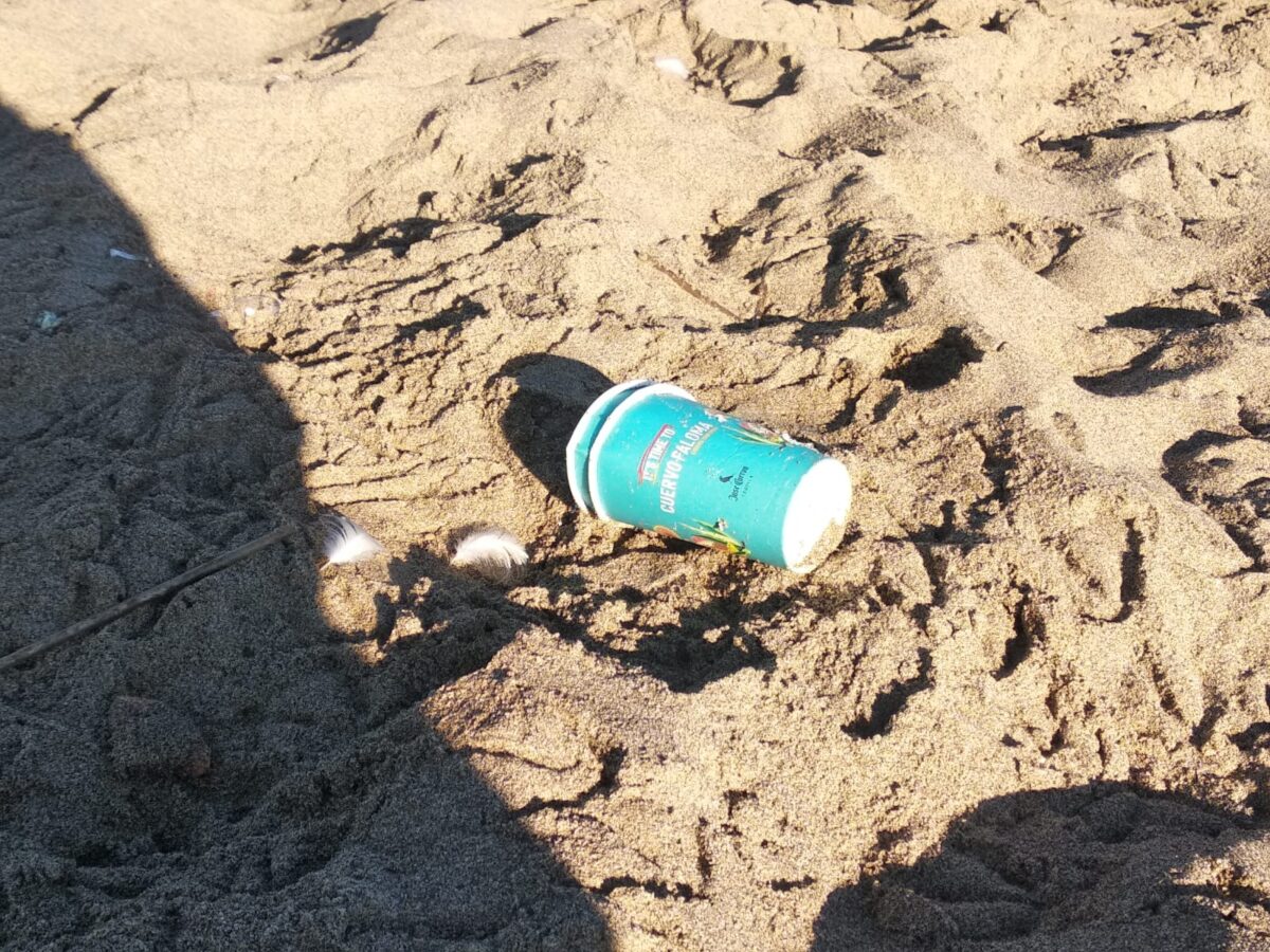 Galleria foto 'SummerTour RadioDeejay, tra cicche di sigarette accese in pineta e spazzatura' - foto 33