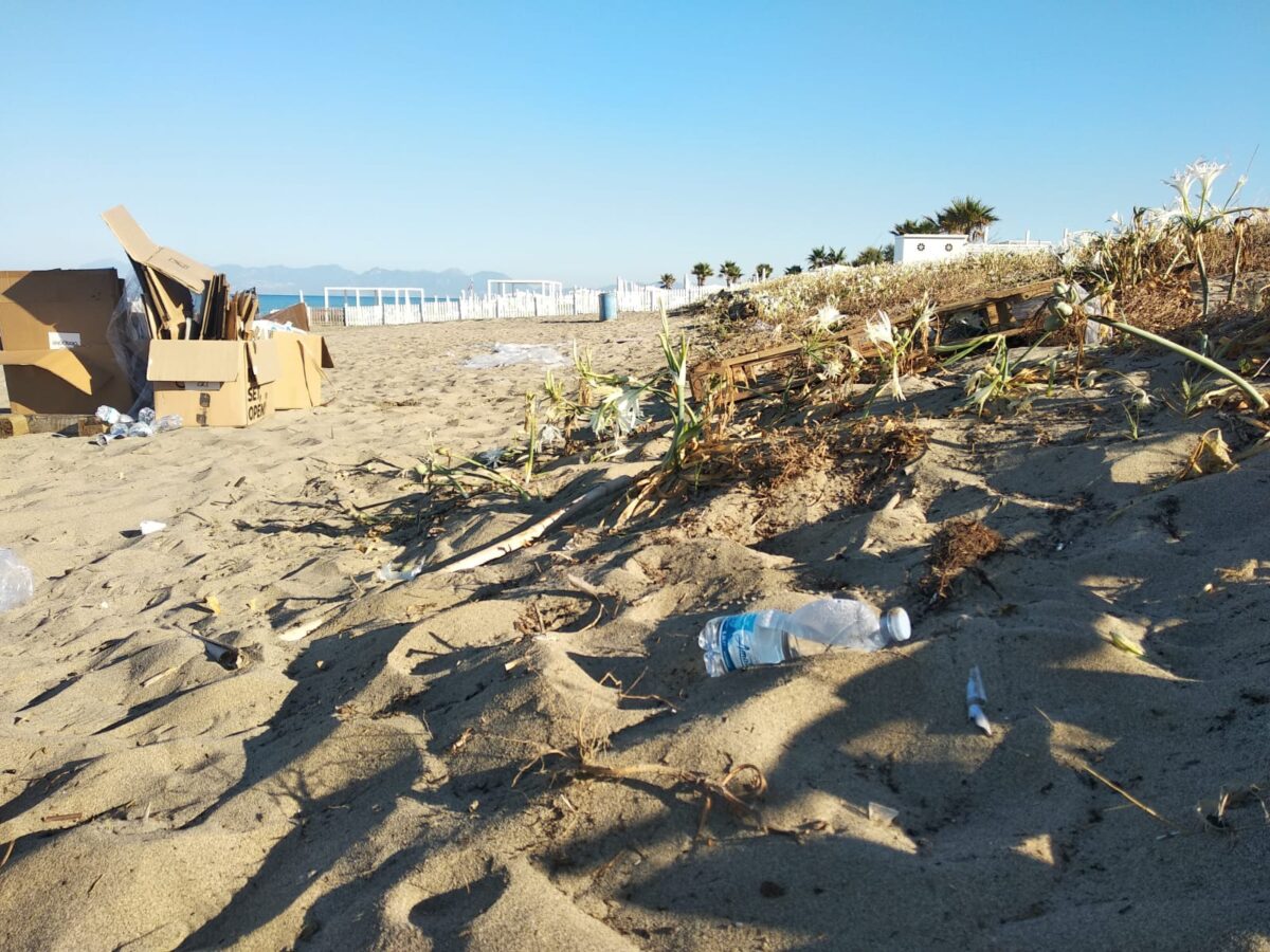 Galleria foto 'SummerTour RadioDeejay, tra cicche di sigarette accese in pineta e spazzatura' - foto 36