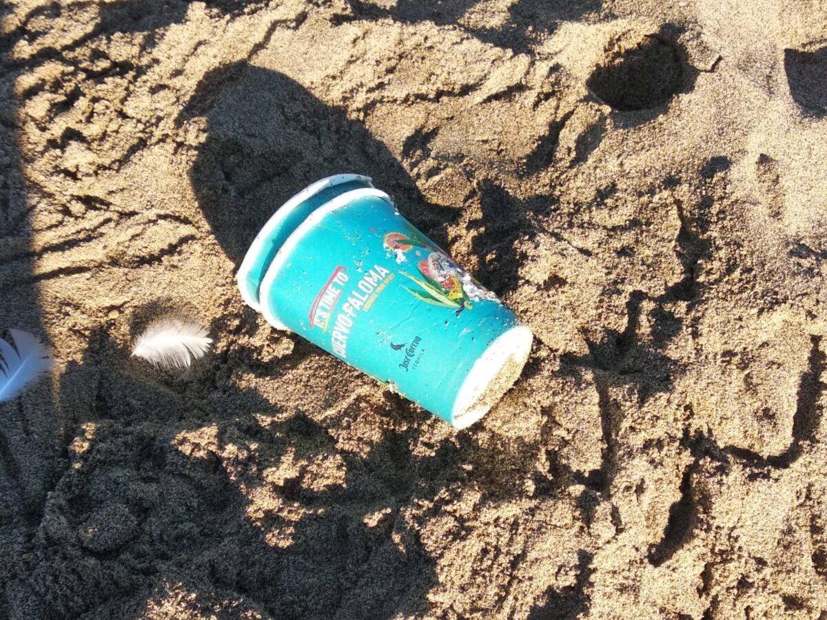 Galleria foto 'SummerTour RadioDeejay, tra cicche di sigarette accese in pineta e spazzatura' - foto 37