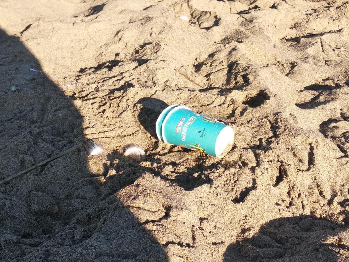 SummerTour RadioDeejay, tra cicche di sigarette accese in pineta e spazzatura