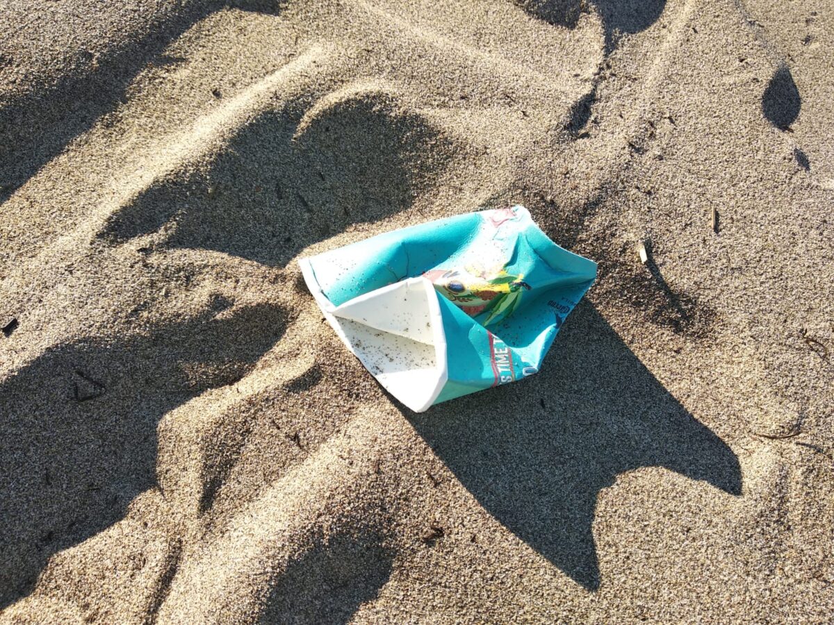 Galleria foto 'SummerTour RadioDeejay, tra cicche di sigarette accese in pineta e spazzatura' - foto 22