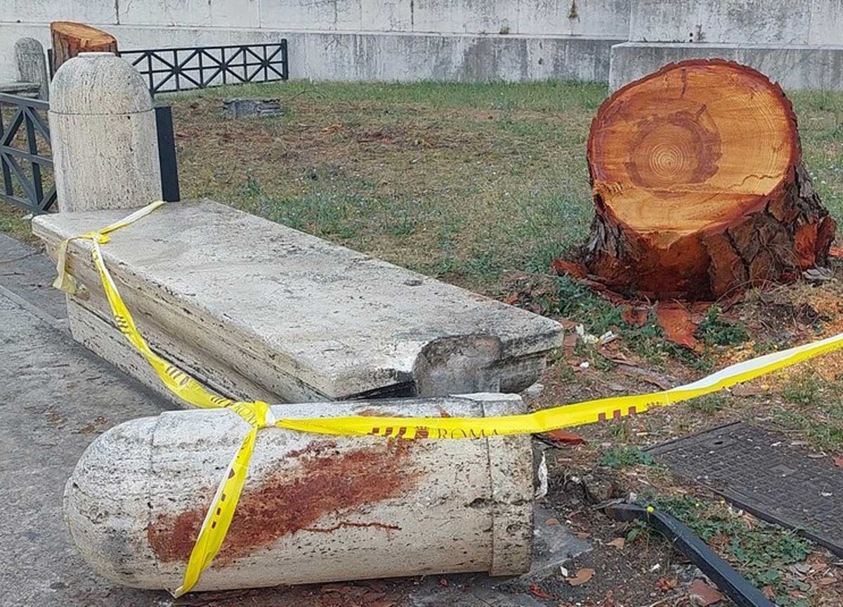 Roma, è allarme alberi: crolla un pino su tre giovani. Ferite in codice rosso