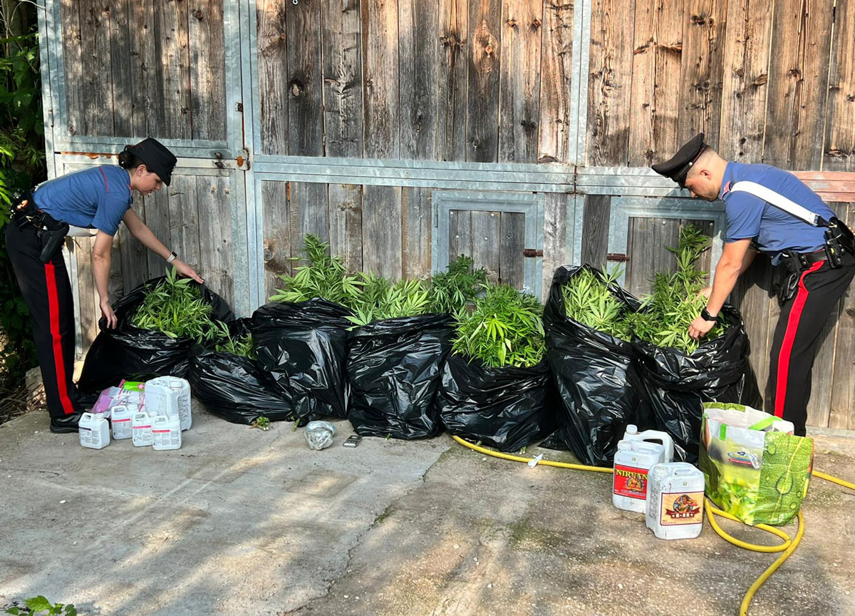 Roma, maxiblitz antidroga nelle zone della movida e nelle piazze di spaccio Roma, maxiblitz antidroga nelle zone della movida e nelle piazze di spaccio