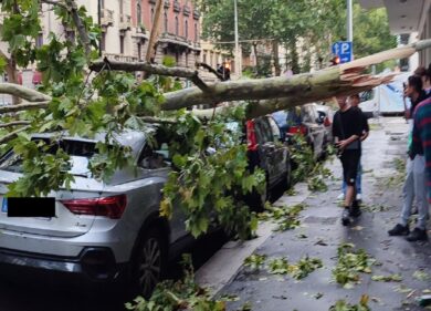 Milano, è online “Insieme per il verde”, la call del Comune per i volontari
