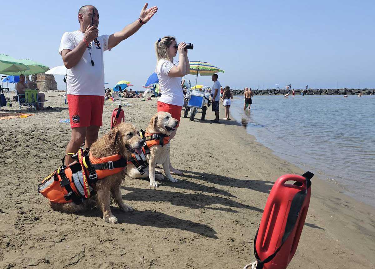 Estate 2023 da cani. Ma di salvataggio: 8 le vite salvate dalla furia del mare Estate 2023 da cani. Ma di salvataggio: 8 le vite salvate dalla furia del mare