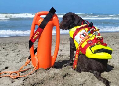 Estate 2023 da cani. Ma di salvataggio: 8 le vite salvate dalla furia del mare