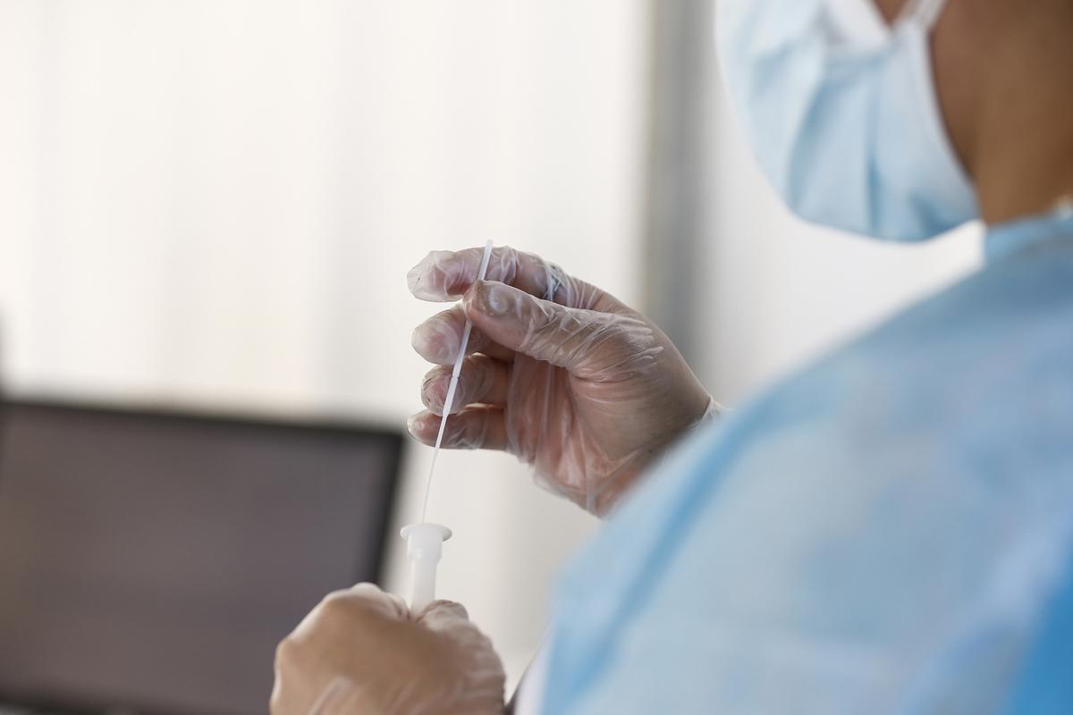 Australia, estratto un verme parassita vivo dal cervello di una donna Australia, estratto un verme parassita vivo dal cervello di una donna