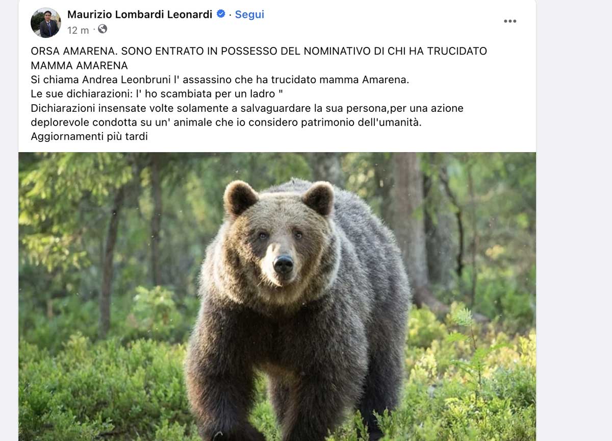 Amarena uccisa a fucilate, i social impazziscono, svelato il nome del “killer” Amarena uccisa a fucilate, i social impazziscono, svelato il nome del “killer”