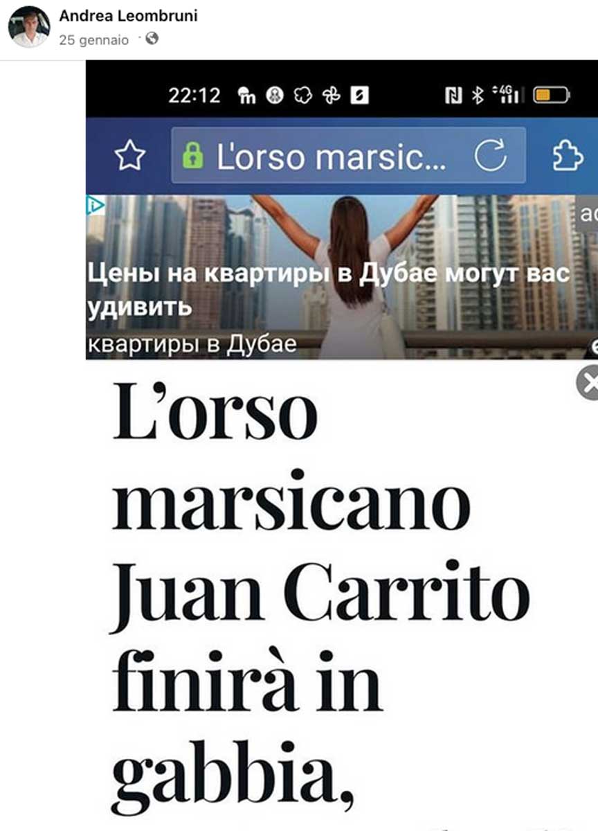 Amarena uccisa a fucilate, i social impazziscono, svelato il nome del “killer” Amarena uccisa a fucilate, i social impazziscono, svelato il nome del “killer”