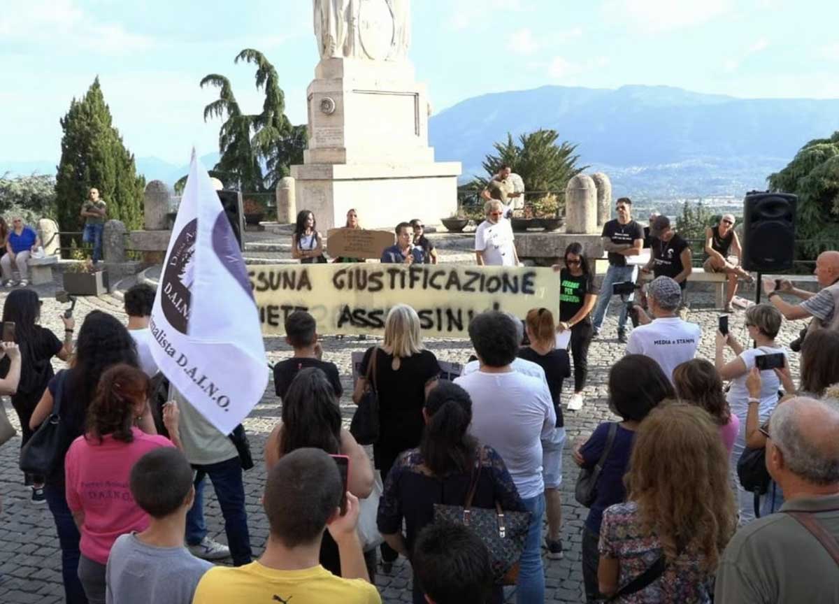 Capretta Anagni e orsa Amarena: dalla gogna sui social ai cortei domenicali Capretta Anagni e orsa Amarena: dalla gogna sui social ai cortei domenicali
